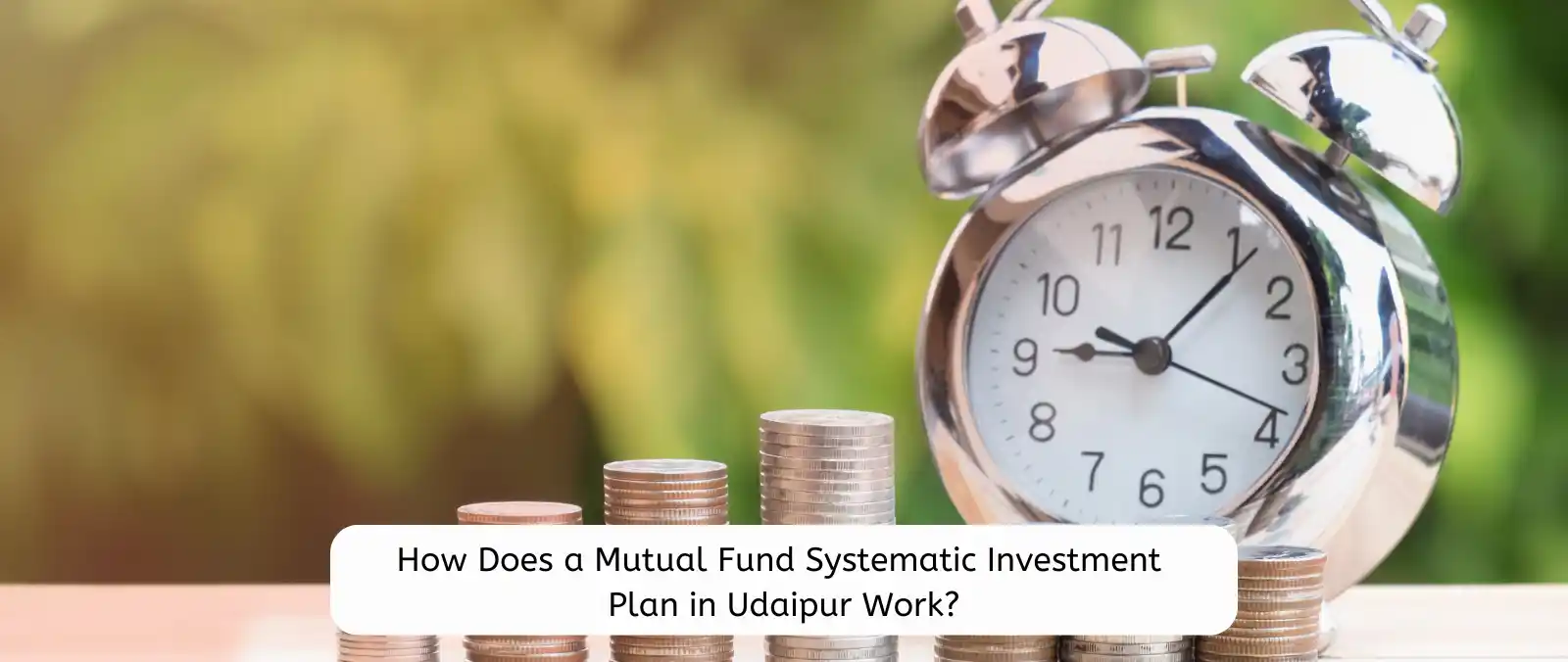 SIP Systematic Investment Plan in Udaipur Mutual Fund Systematic Investment Plan in Udaipur Mutual Fund Systematic Investment Plan in UdaipurMutual Fund Systematic Investment Plan in Udaipur